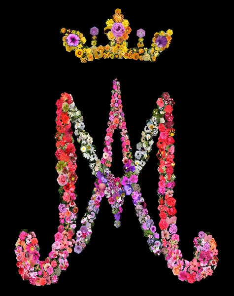 MÁS DE MIL FLORES A MARÍA / Ofrenda