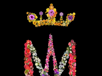 MÁS DE MIL FLORES A MARÍA / Ofrenda