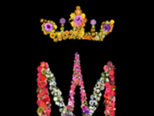 MÁS DE MIL FLORES A MARÍA / Ofrenda